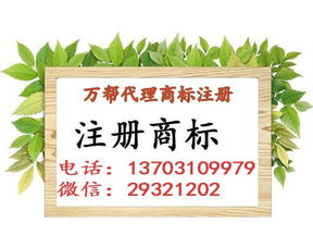 邯鄲公司注冊(cè) 邯鄲代理記賬 邯鄲商標(biāo)注冊(cè) 一站式企業(yè)服務(wù)平臺(tái)